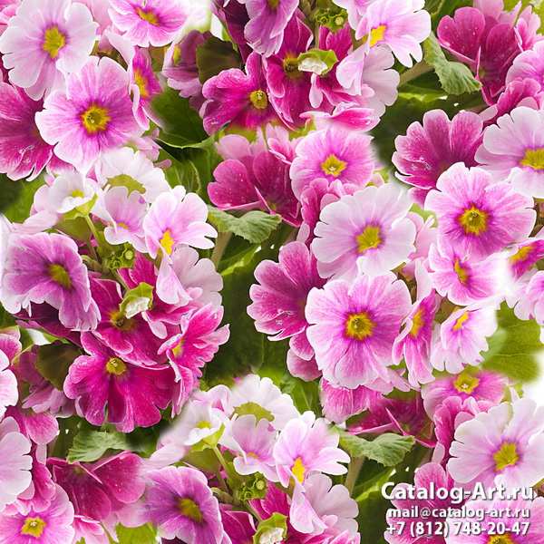 Pink flowers 78